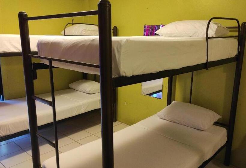 اتاق خانوادگی, Dreamkapture Hostel Close To The Airport And Bus Terminal