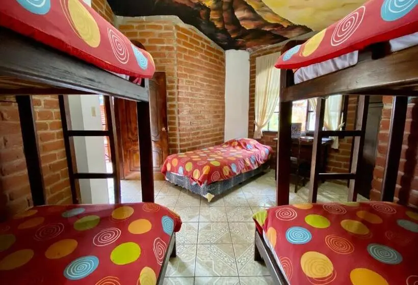 ルームシェアのワンベッド, Great Hostels Backpackers