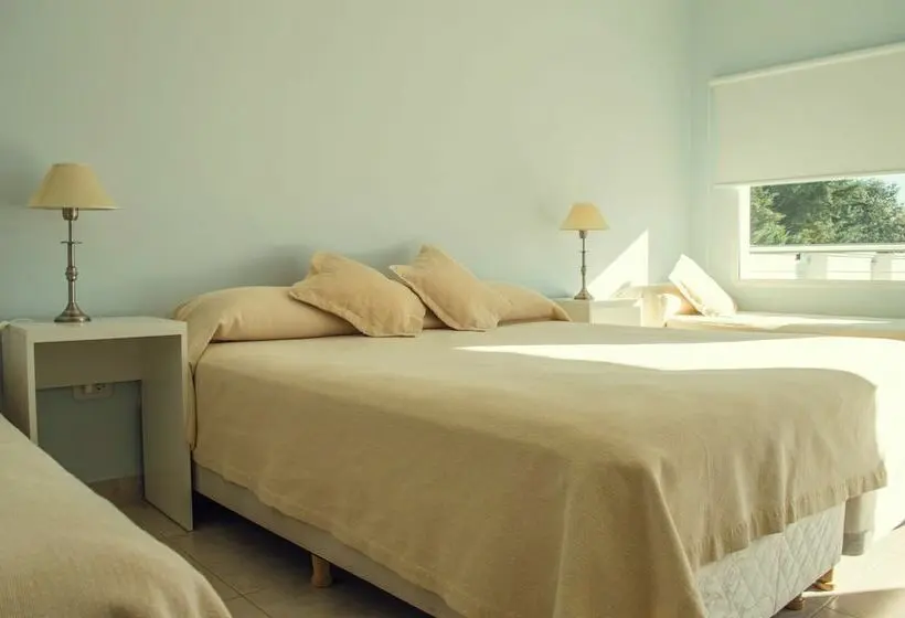 スタンダードルーム, Tagüé