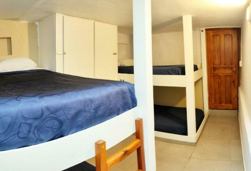 מיטה בחדר משותף, Minka Hostel