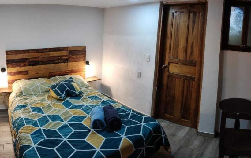 חדר סטנדרט יחיד, Minka Hostel