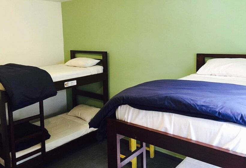 تختخواب در اتاق مشترک, Minka Hostel