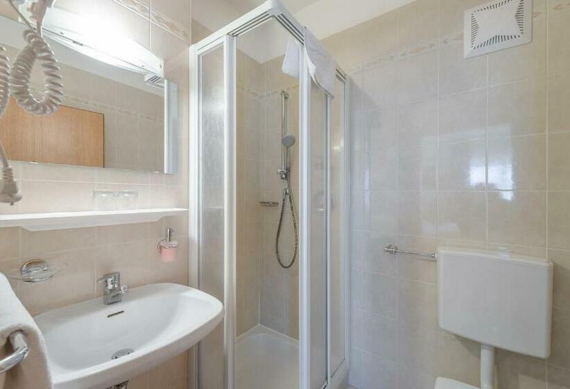 Номер Economy Индивидуальный, Garni Hotel Ritterhof