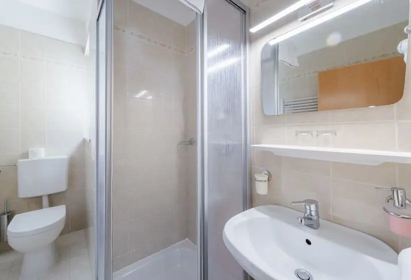 Standard-huone Parveke, Garni Hotel Ritterhof