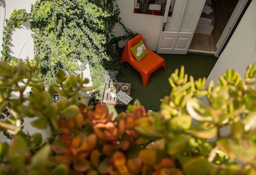 Люкс, Cheap & Chic