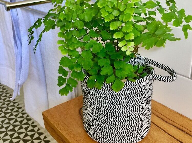 חדר סטנדרט, Sunny Side Up B&b Rye