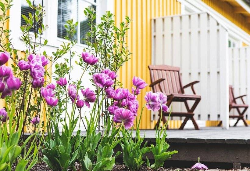 スタンダードシングルルーム, Lejondals Slott