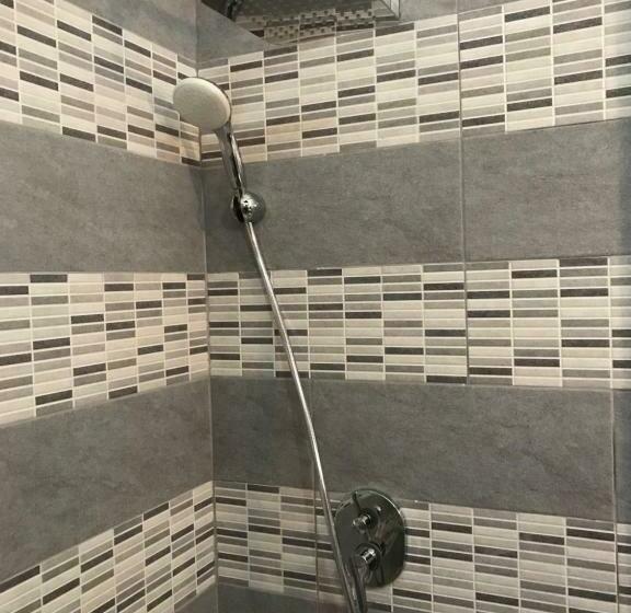 Номер Стандарт, Populus