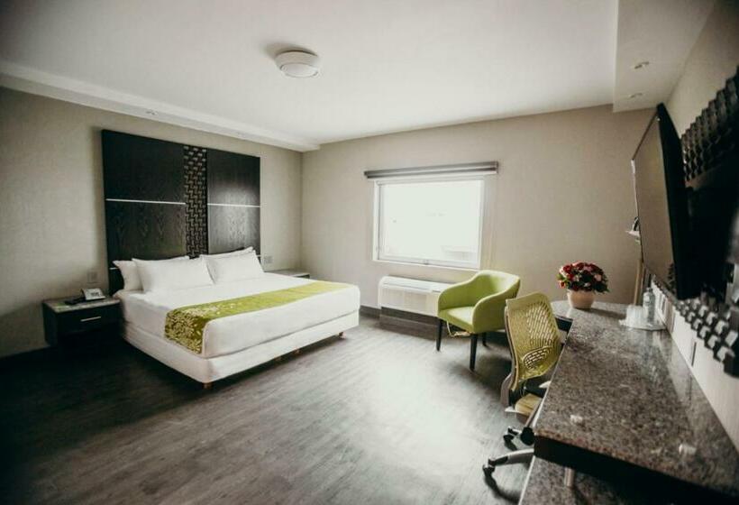 غرفة سوبيريور, Araiza San Luis R.c