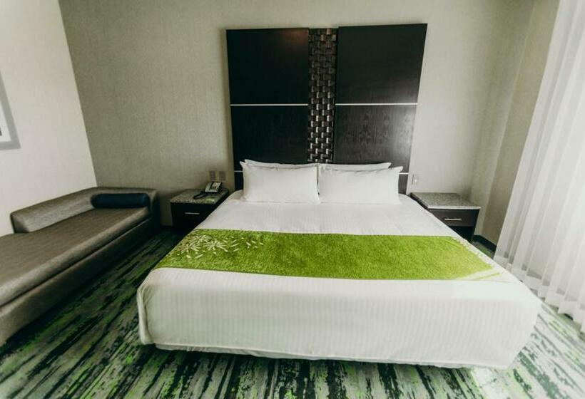 غرفة قياسية, Araiza San Luis R.c