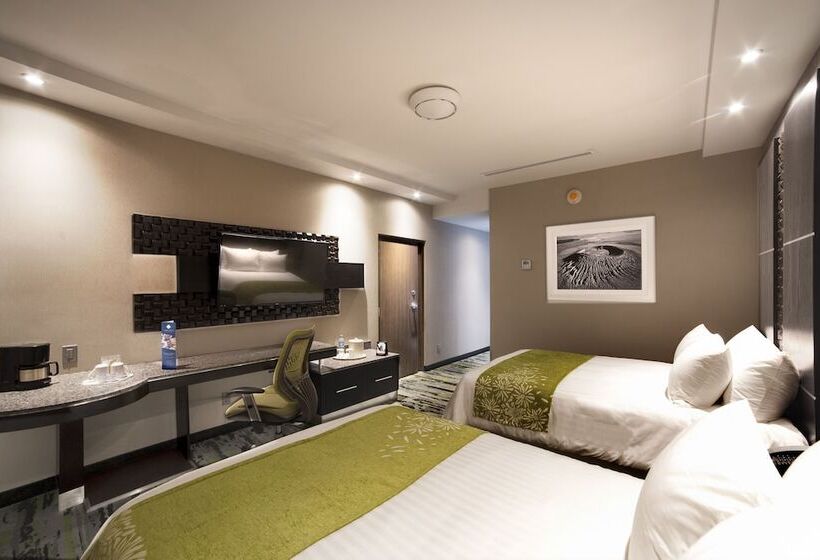 Номер Superior, Araiza San Luis R.c