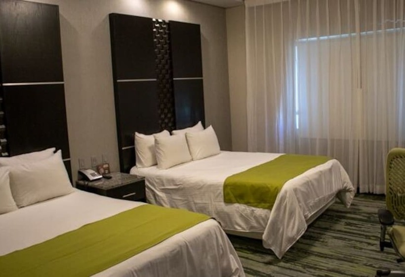 수피리어 룸, Araiza San Luis R.c