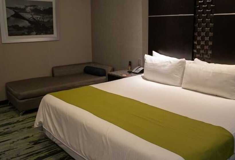 수피리어 룸, Araiza San Luis R.c