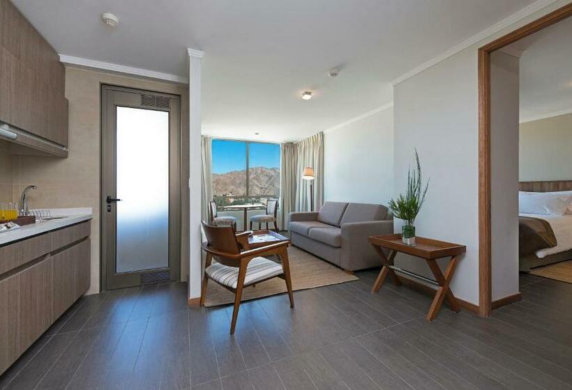 آپارتمان 1 خوابه, Atacama Suites