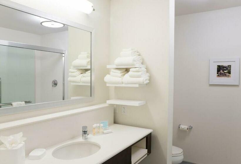 اتاق استاندارد با تخت بزرگ برای معلولان, Hampton Inn & Suites West Lafayette