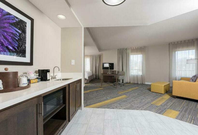 اتاق استاندارد, Hampton Inn & Suites West Lafayette