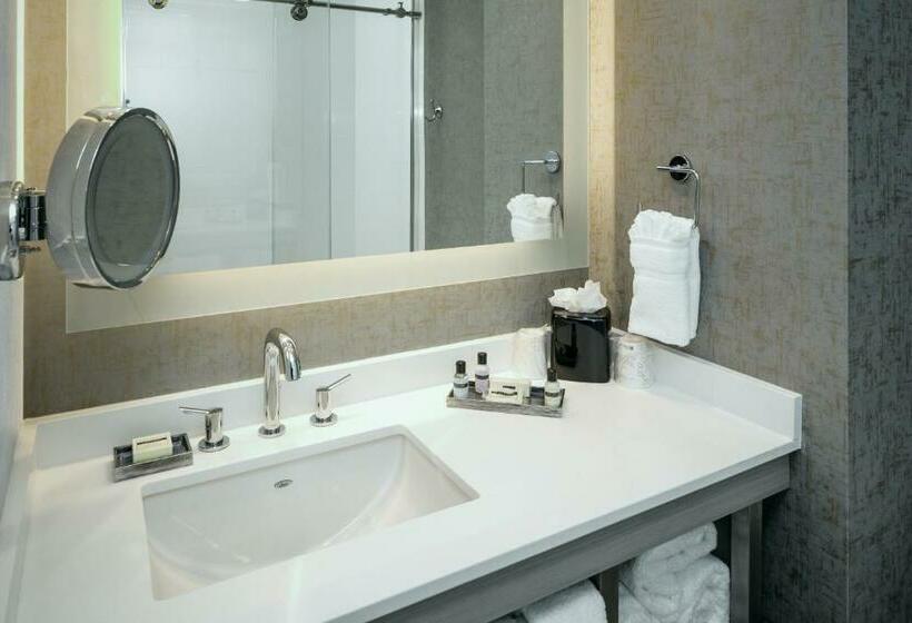 اتاق لوکس با تخت بزرگ, Hilton Garden Inn Seattle Bellevue Downtown, Wa