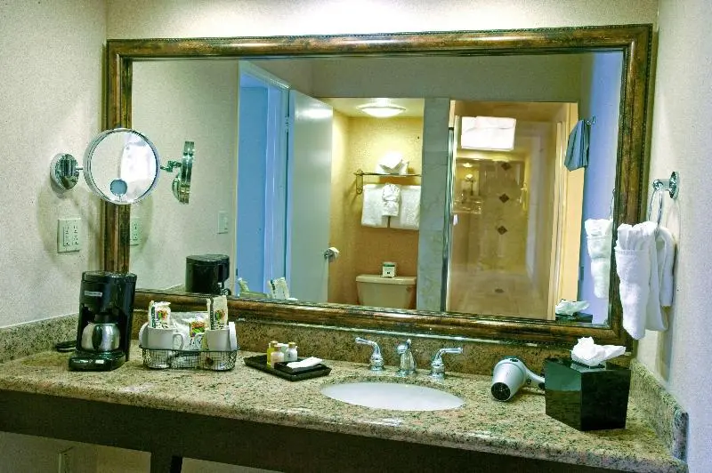 اتاق استاندارد با تخت بزرگ, Hilton Lake Como