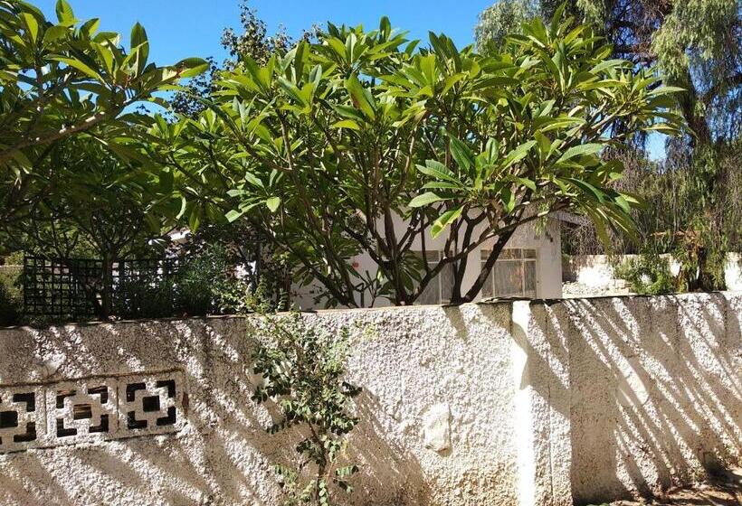 اتاق اکونومی, Brackendene Lodge