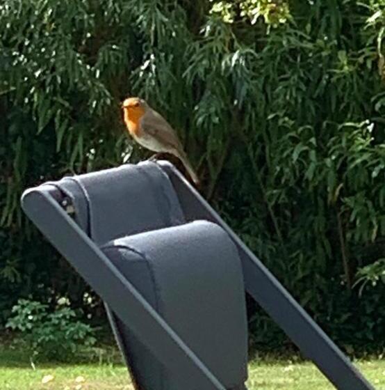 ガーデンビュースタンダードルーム, La Chambre D Hôte De Manou En Normandie