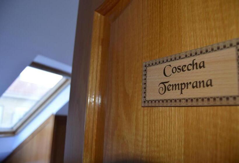 Семейный Номер Совместный Санузел, Aposentos Aove On Tour