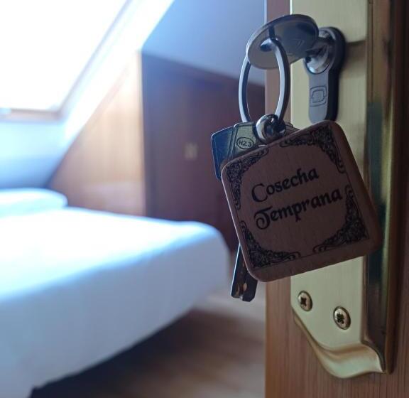 Семейный Номер, Aposentos Aove On Tour