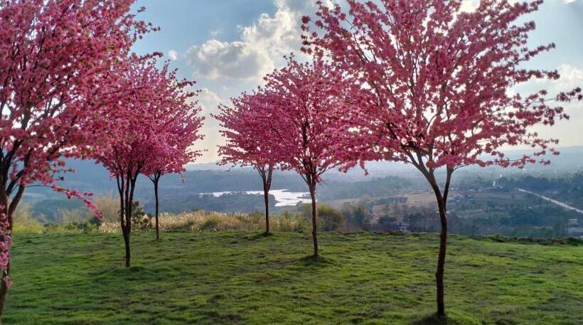 Standard Neljän Hengen Huone, Sirine​ Onsen​ รีสอร์ทออนเซนวิวทะเลหมอก