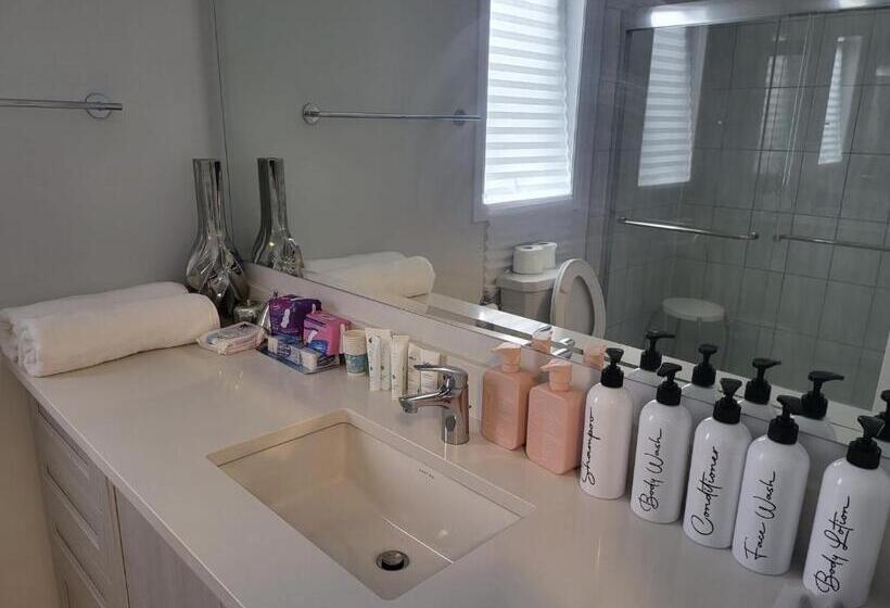 デラックスルーム, Pleasure Ride