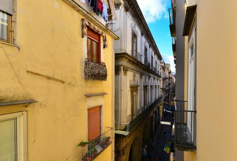 اتاق سوپریور, Xenia Neapolis