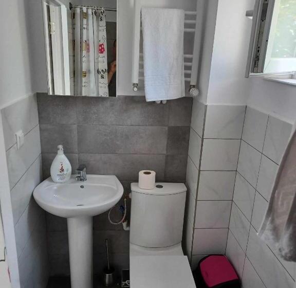 اتاق استاندارد با بالکن, Aparthotel Oltului