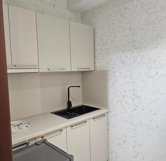 آپارتمان 3 خوابه, Baland Hotel Dushanbe