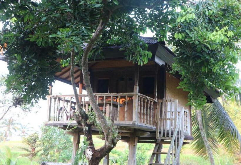 חדר סטנדרט, Mesari Cottage Guest House