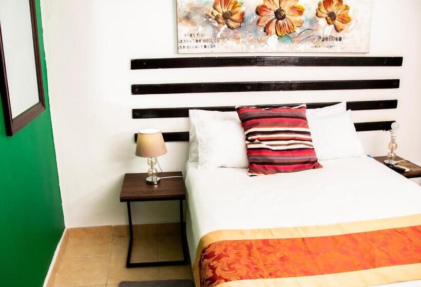 اتاق استاندارد, Shape Inn Guest House