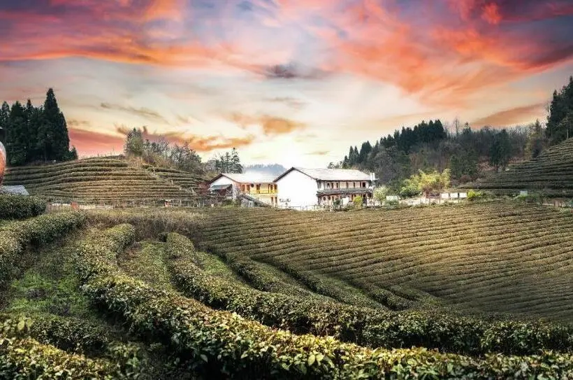 スタンダードルーム, Zhangjiajie Yolo Resort  Within Zhangjiajie National Forest Park