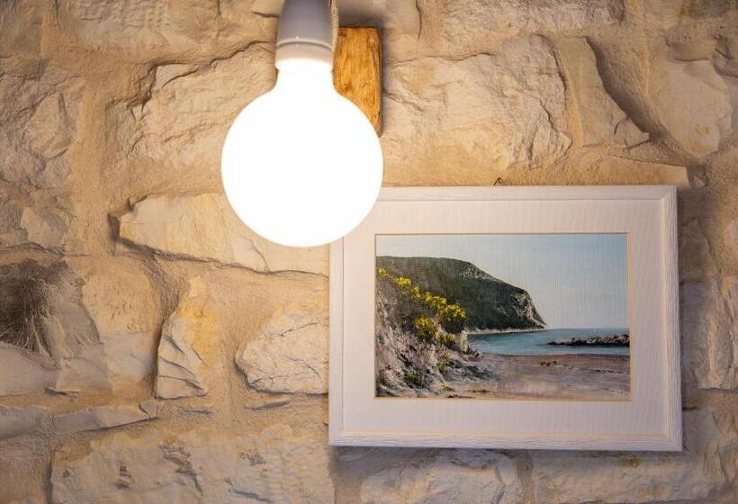 Quarto Estandar, Il Fiore Del Conero