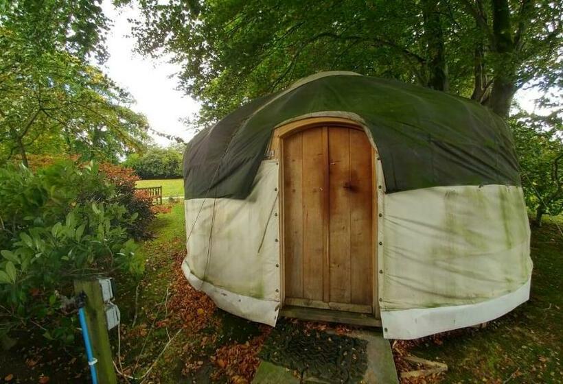 キングサイズベッドのスイートルーム, Beech Hill B&b