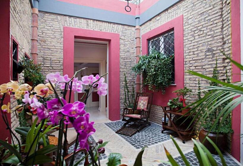 اتاق استاندارد, Navona Queen Rooftop