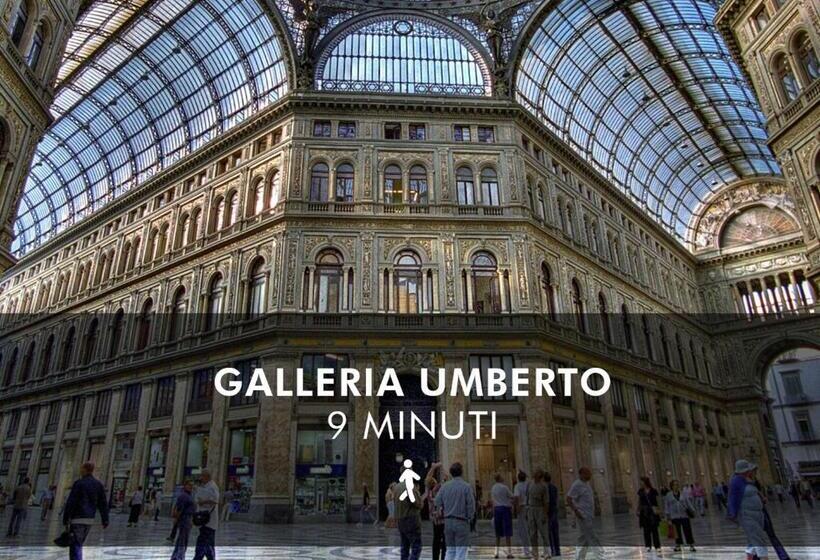 استودیوی استاندارد, Santa Lucia 50