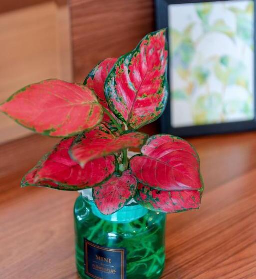 اتاق خانوادگی, Luxy Park Hotel & Apartments Mtown