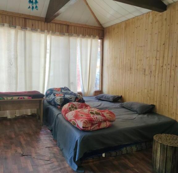 اتاق لوکس چهار تخته, Yodo Kasol, You Only Die Once