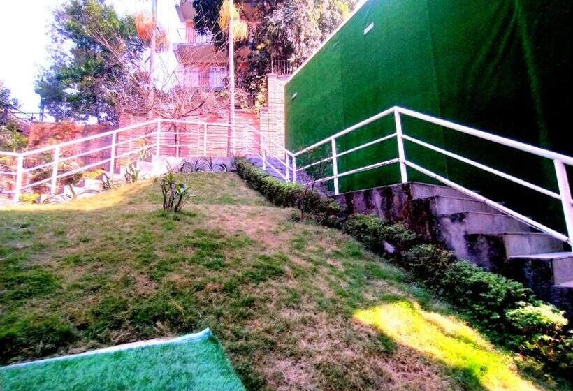 اتاق لوکس با تخت بزرگ, Terrace Park
