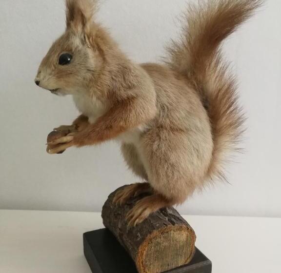 غرفة فردية  مطلة على الحديقة, Bolmen Bed   Vandrarhem