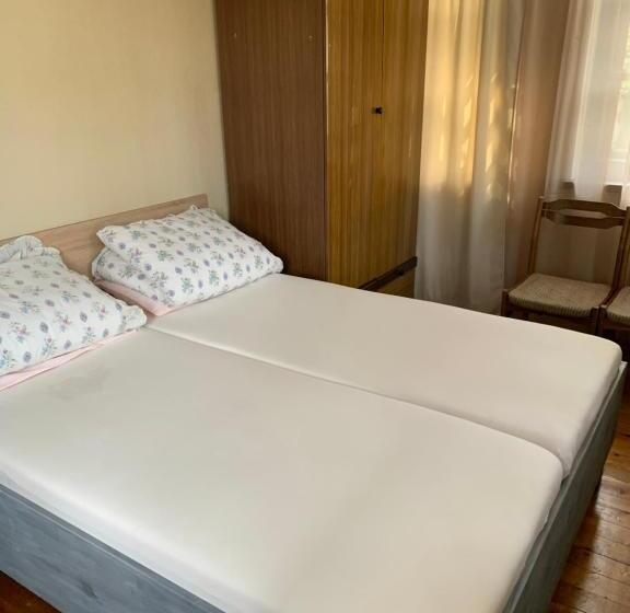 اتاق استاندارد, Guesthouse Svečiuose Pas Gražina