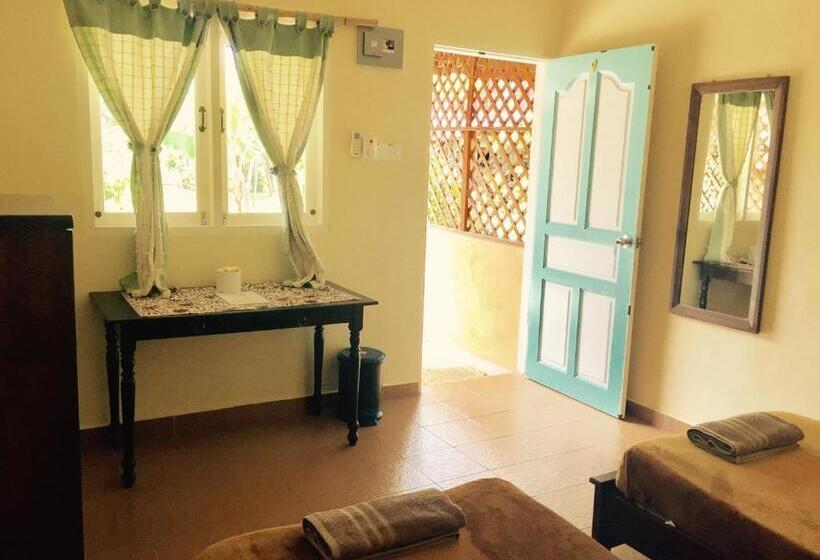 バス共有のスタンダードルーム, Soluna Guest House