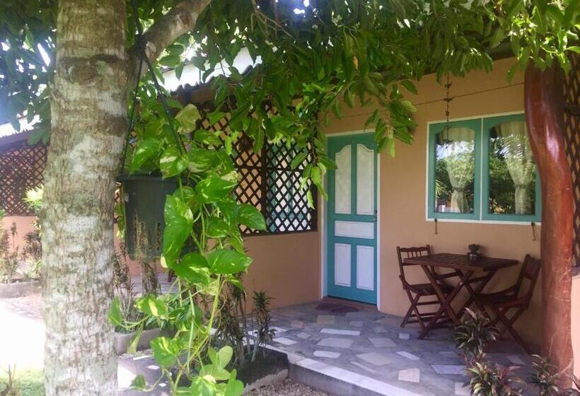 Номер Стандарт, Soluna Guest House