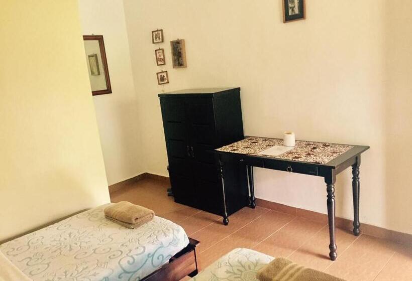 غرفة قياسية, Soluna Guest House