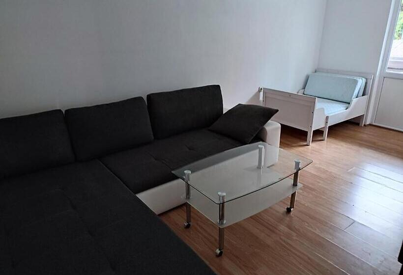 バルコニー付き1ベッドルームアパートメント, Pension Victoria