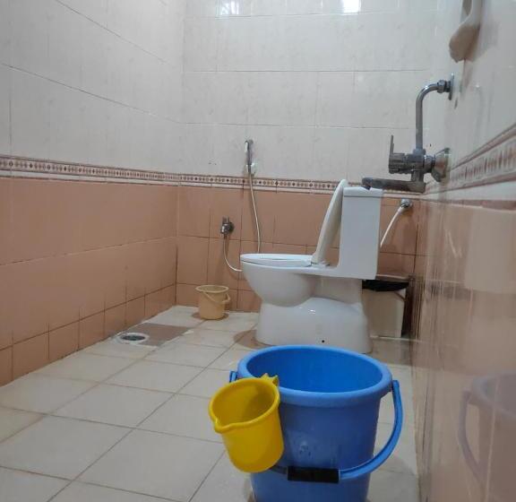 Номер Deluxe, Manasa Guest House