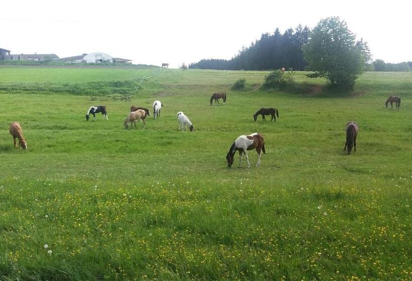 غرفة ديلوكس, Q Ranch