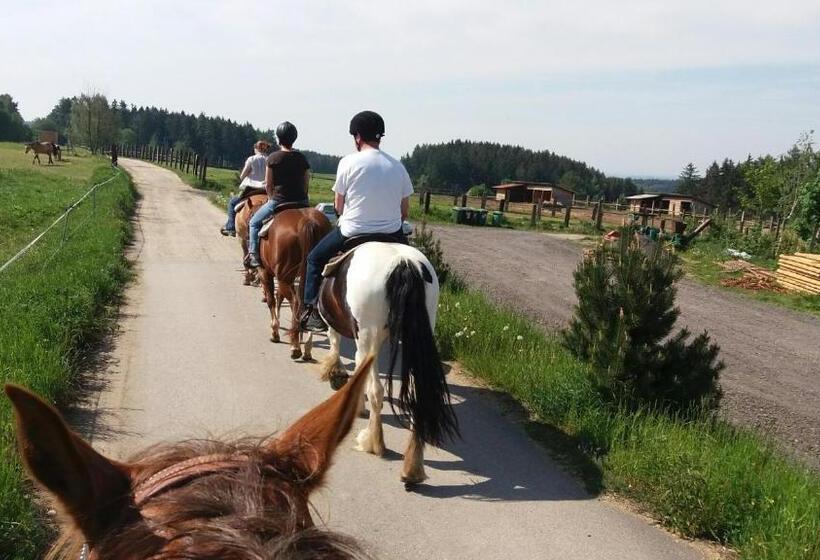 غرفة ديلوكس رباعية, Q Ranch